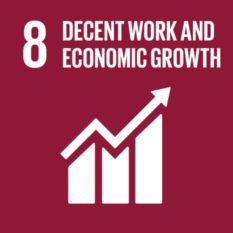 SDG_Decent work and economic growth