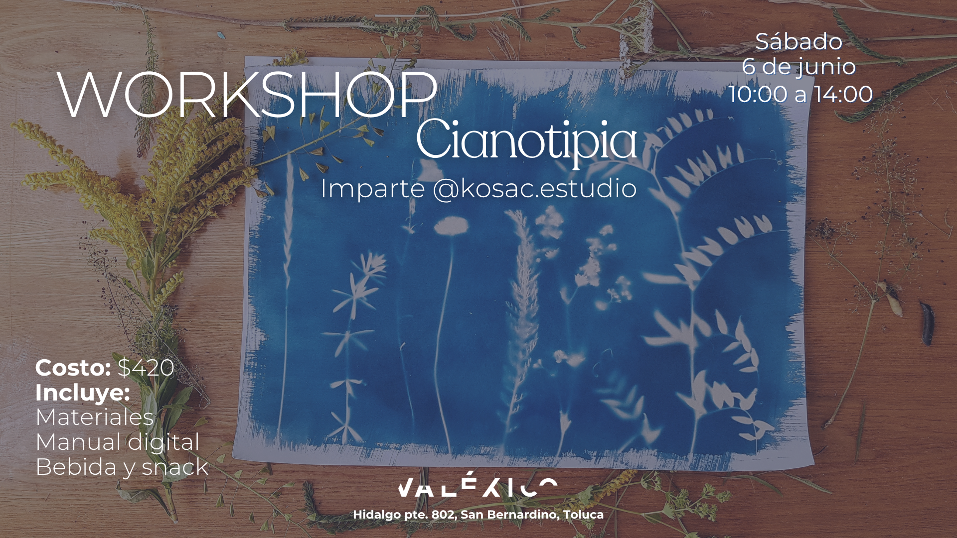 Workshop cianotipia toluca